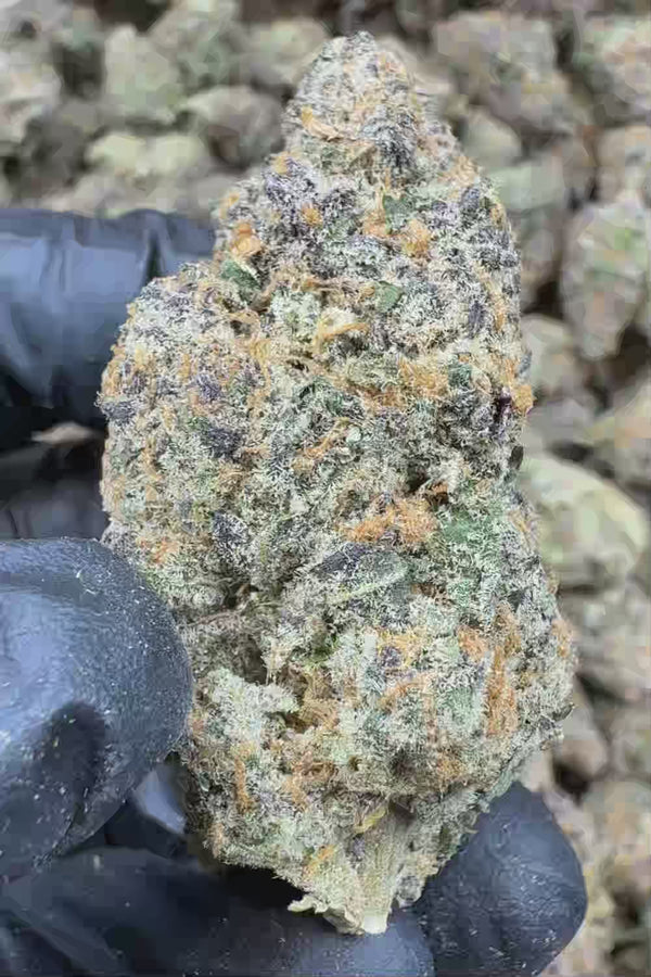 Candyland THCA Flower