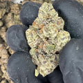 Acai Runtz THCa Flower video