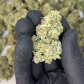 Wedding Cake THCa Flower video