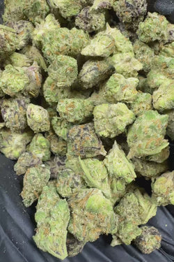 Alaskan tf smalls Flower