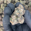 black mamba video