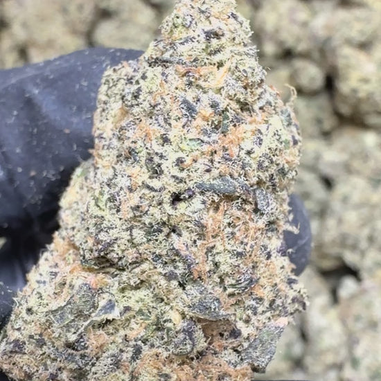 blue zooties thca flower nug and nugs video