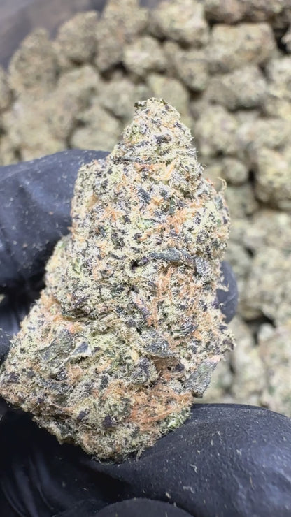 blue zooties thca flower nug and nugs video