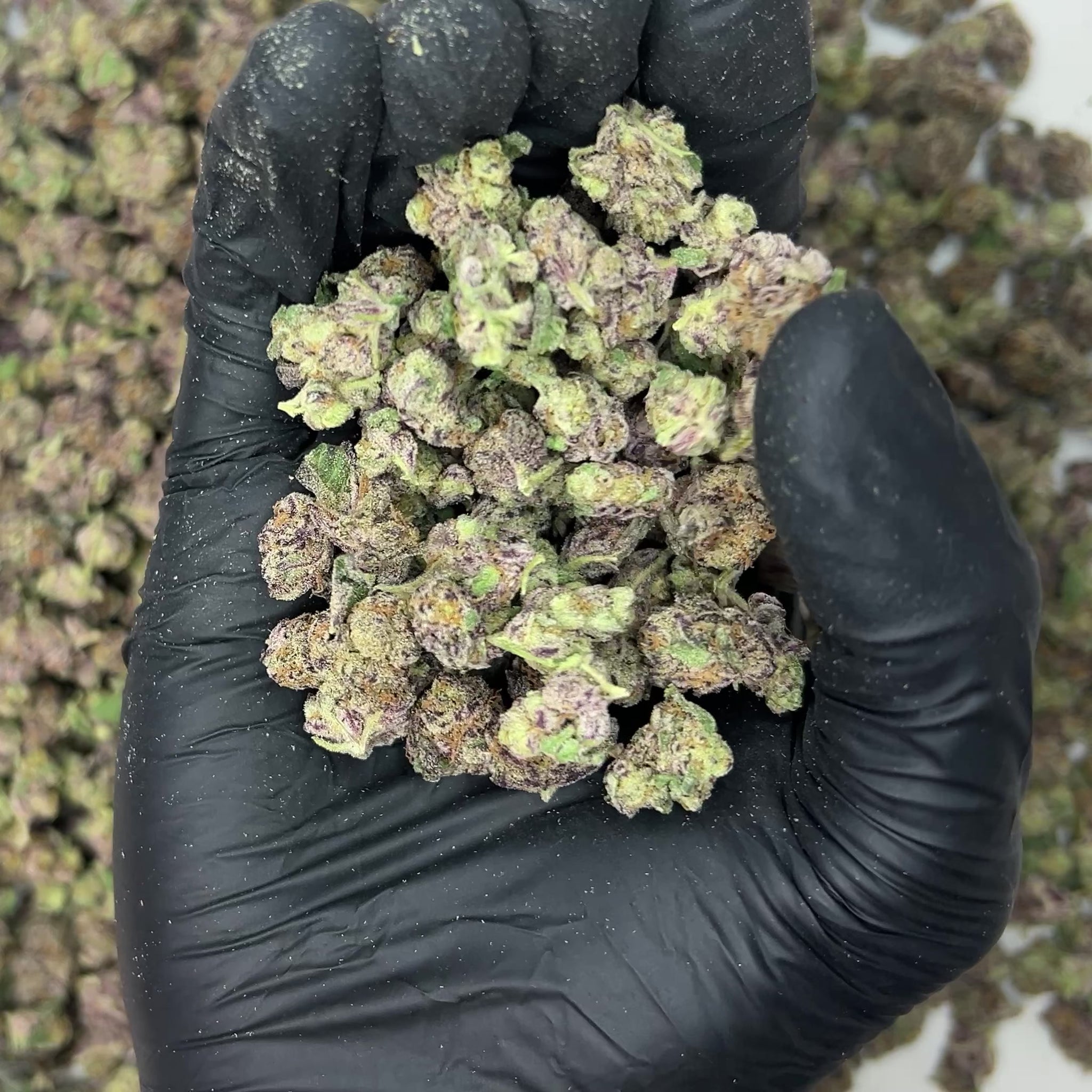 Black Ice Smalls THCa Flower video