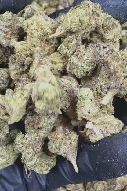 Lemon Cherry Gelato THCa Flower Ounce