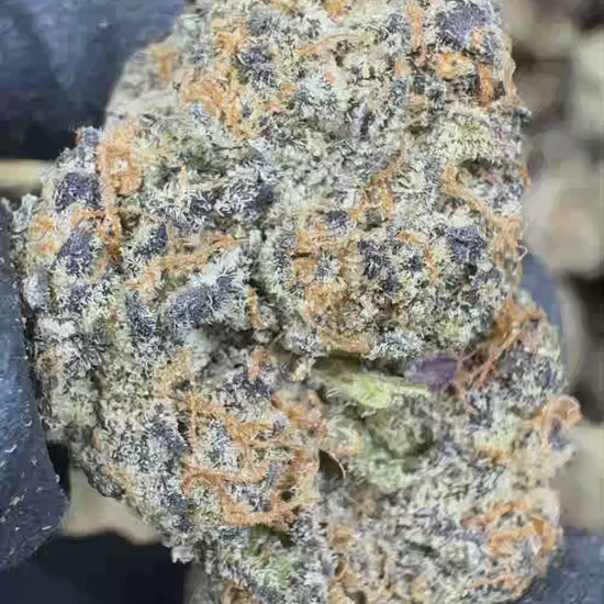 Gary Payton THCA Flower