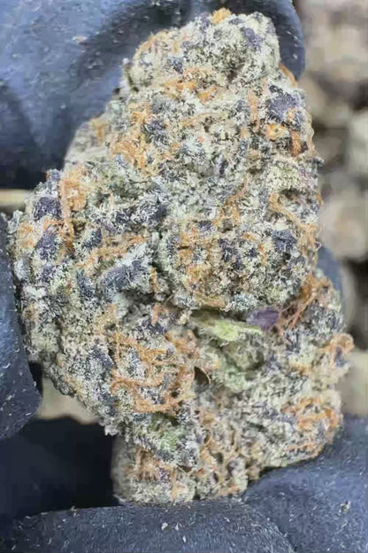 Gary Payton THCA Flower