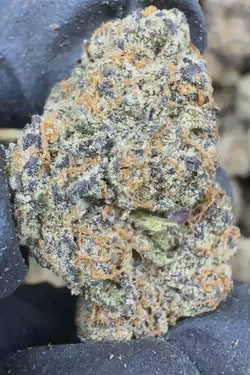 Gary Payton THCA Flower