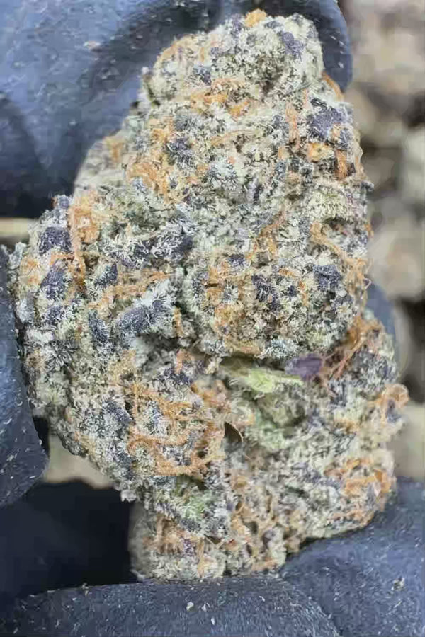 Gary Payton THCA Flower