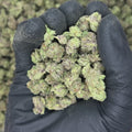 Cereal Milk THCa Smalls video