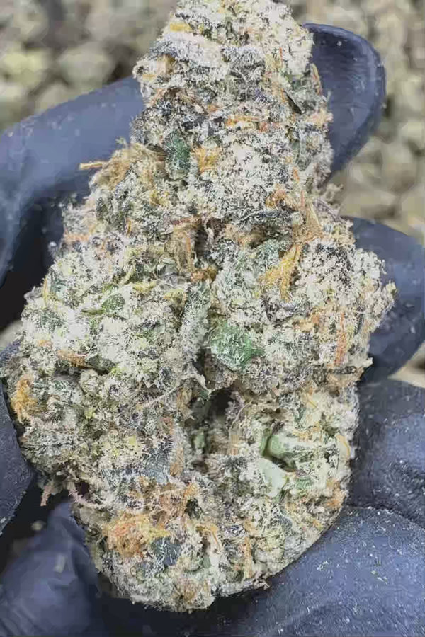 Uncle Snoop exotic Flower