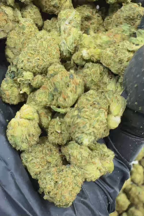 Super runtz smalls Flower