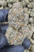 Brat Berry Flower