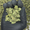 Toranja Smalls THCA Flower video