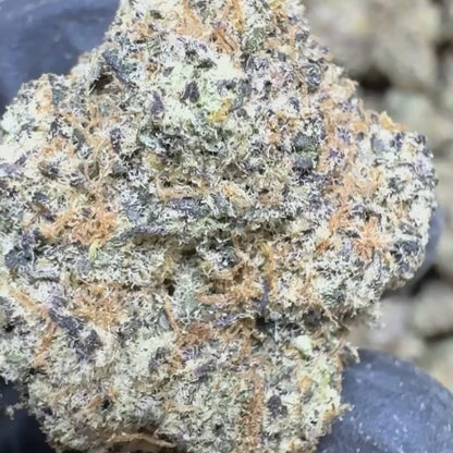Silver Spoon Exotic THCa Flower Ounce