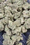 Gorilla Glue #4 Smalls THCa Flower Ounce