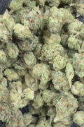 Blue Skittlez smalls Flower
