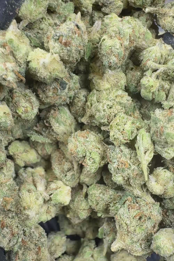 Blue Skittlez smalls Flower