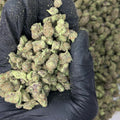 Space Rocks Smalls THCa Flower video