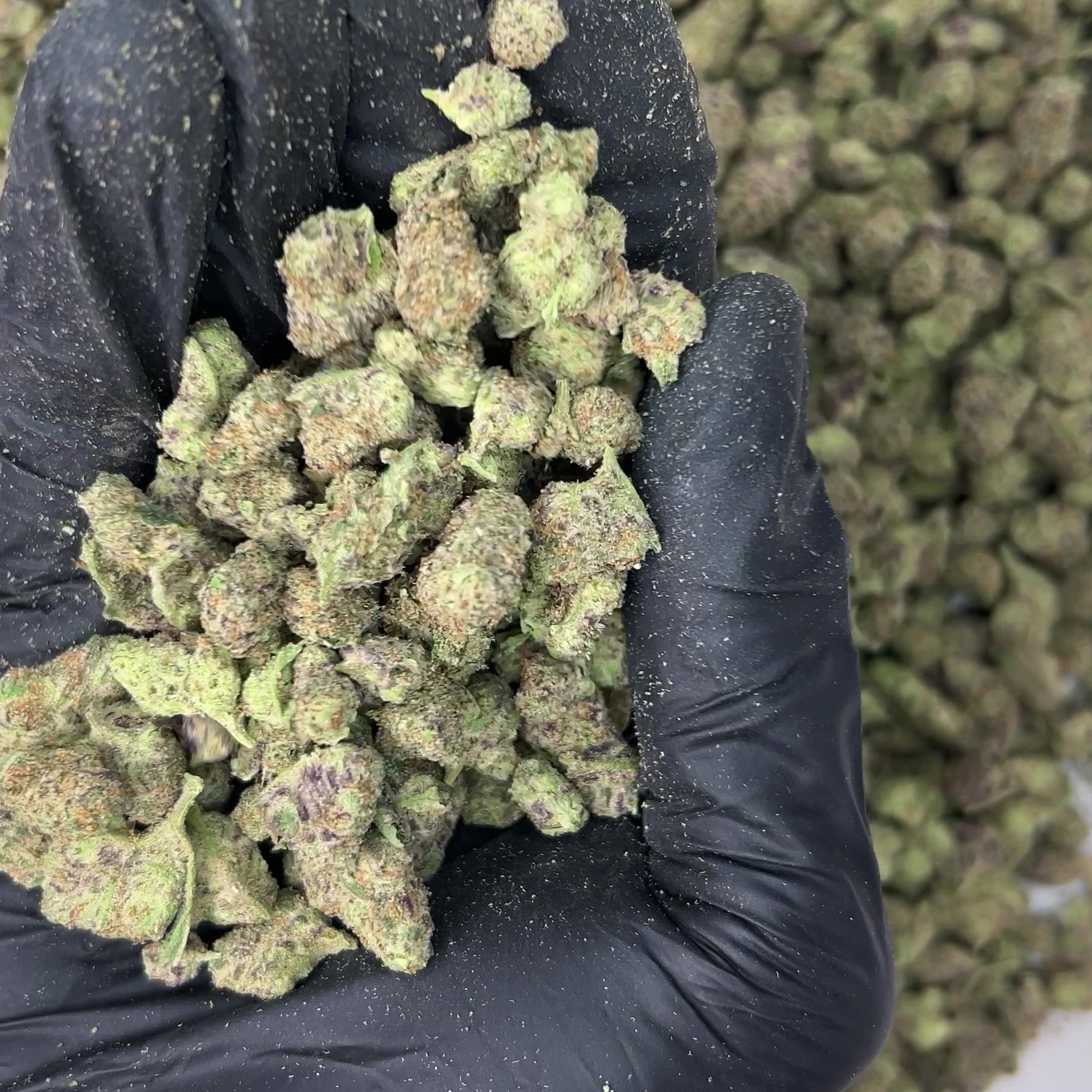 Space Rocks Smalls THCa Flower video