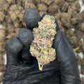 LA Moon THCa Flower