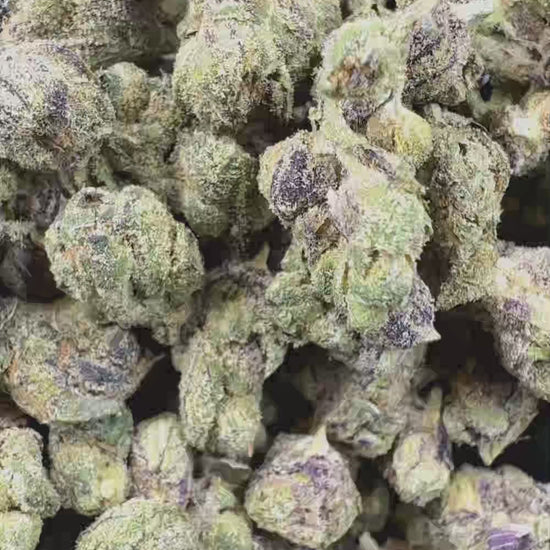 Purple Dream Smalls Flower