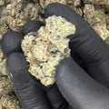 Pink Runtz x Cold Heat THCA Flower video