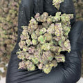 Peanut Butter Breath Smalls THCa Flower video