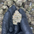 Diesel Runtz THCa Flower video