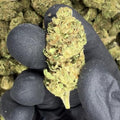 Critical Berries Greenhouse Smalls | 28 Grams