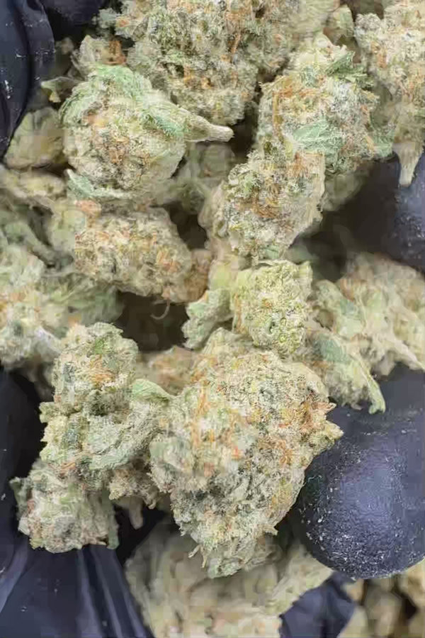 Tangerine dream smalls Flower