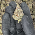 Sour Runtz THCa Flower video