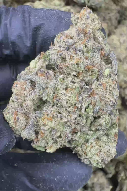 Gorilla Glue #4 THCa Flower Ounce