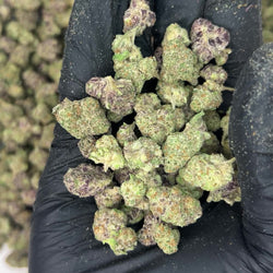 Satsuma Sherbet Smalls THCA Flower  video
