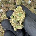 Red Rock THCa Flower video