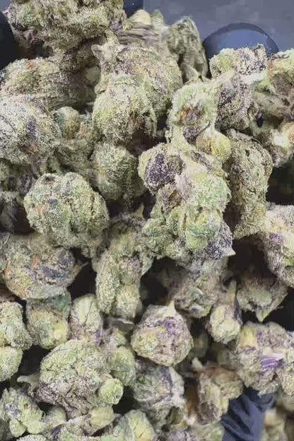 Purple Dream Smalls THCa Flower