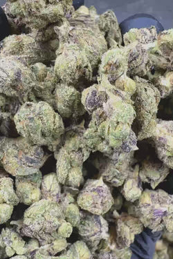 Purple Dream Smalls Flower