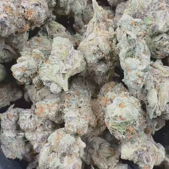 Guava smalls Flower