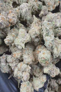 Guava smalls Flower