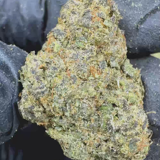 Strawberry cough Flower