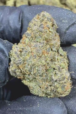 Strawberry cough Flower