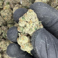 Curelato THCa Flower video