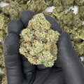 Alien OG THCa Flower video