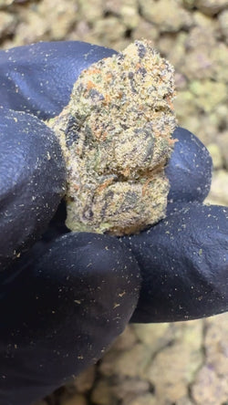 Best THCA Flowers Of SuperGreens