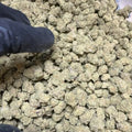 Pineapple-Express smalls Flower