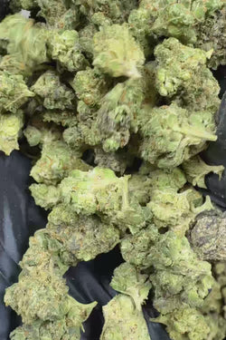 Lemon pound cake smalls Flower