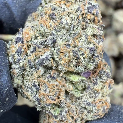 Gary Payton THCa Flower Ounce