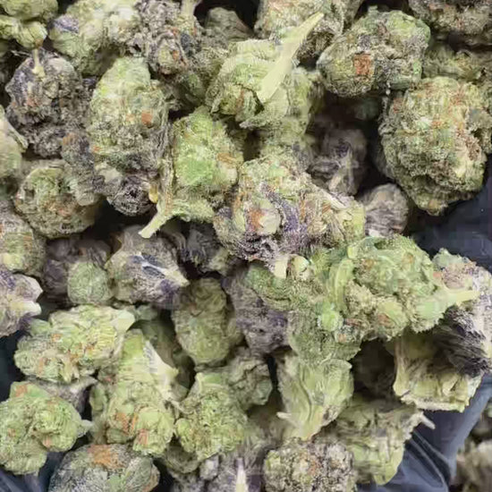 Pinkrozay smalls Flower