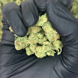White Guava Smalls THCa Flower video