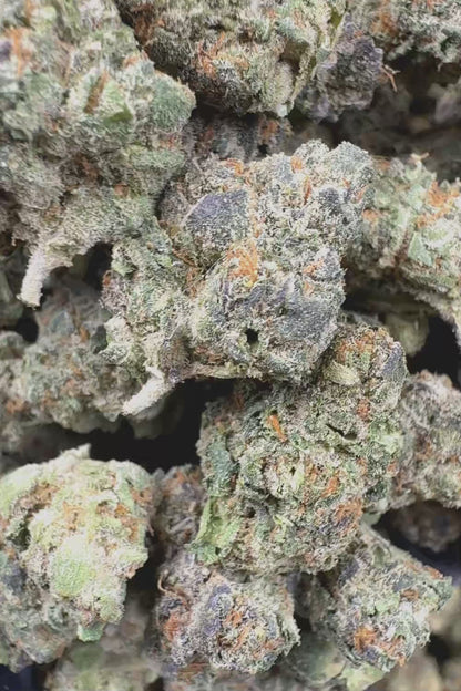 Blue Lobster Smalls THCa Flower Ounce